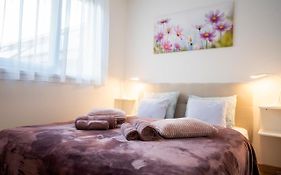 Cute Apartman- Free Parking